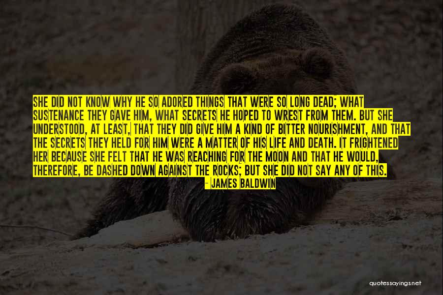 Life Rocks Quotes By James Baldwin Life Rocks Quotes By James Baldwin