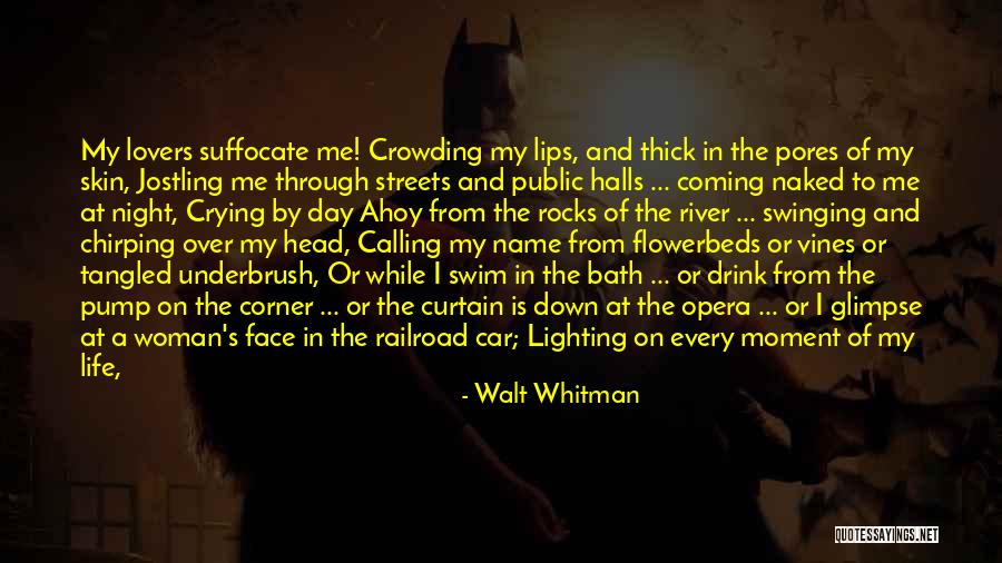 Life Rocks Quotes By Walt Whitman Life Rocks Quotes By Walt Whitman