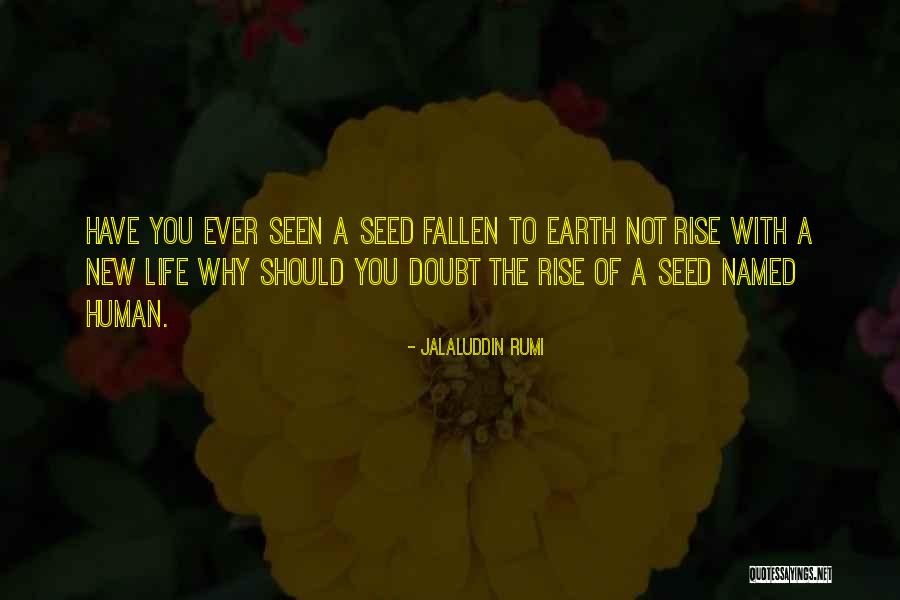 Life Rumi Quotes By Jalaluddin Rumi Life Rumi Quotes By Jalaluddin Rumi