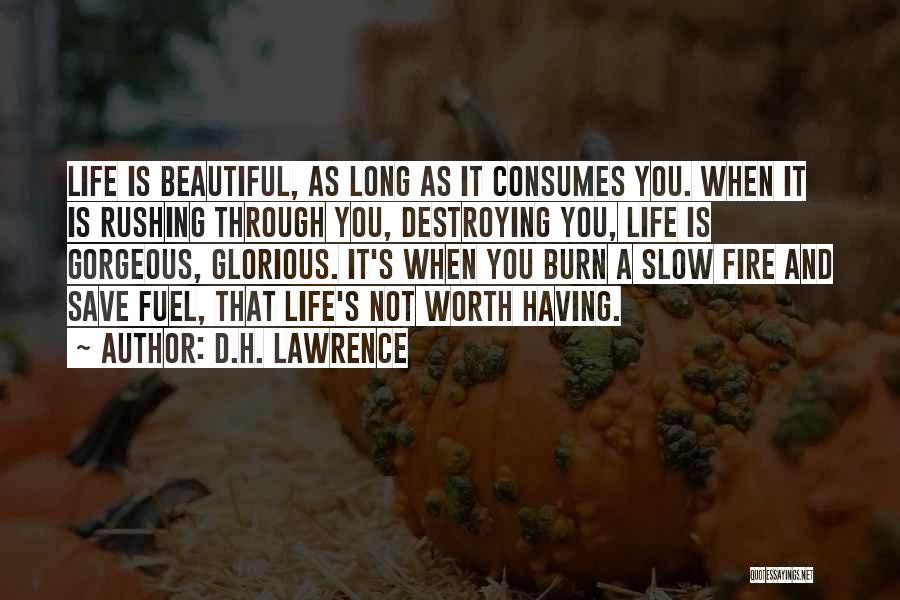 Life Rushing Quotes By D.H. Lawrence