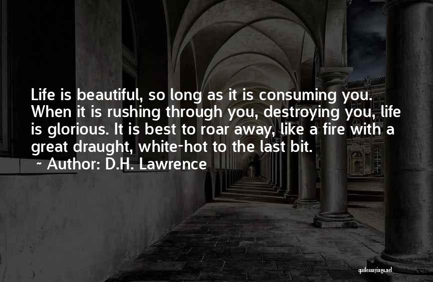 Life Rushing Quotes By D.H. Lawrence