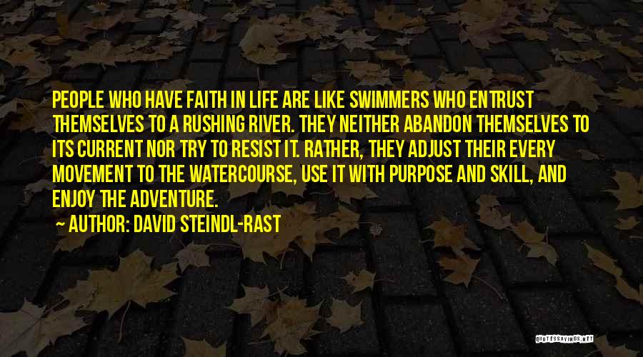 Life Rushing Quotes By David Steindl-Rast