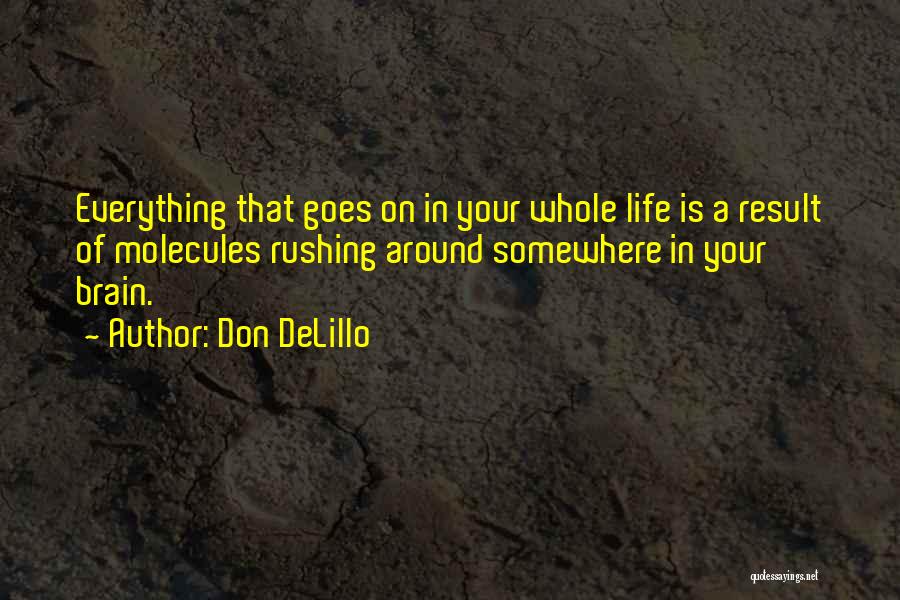 Life Rushing Quotes By Don DeLillo