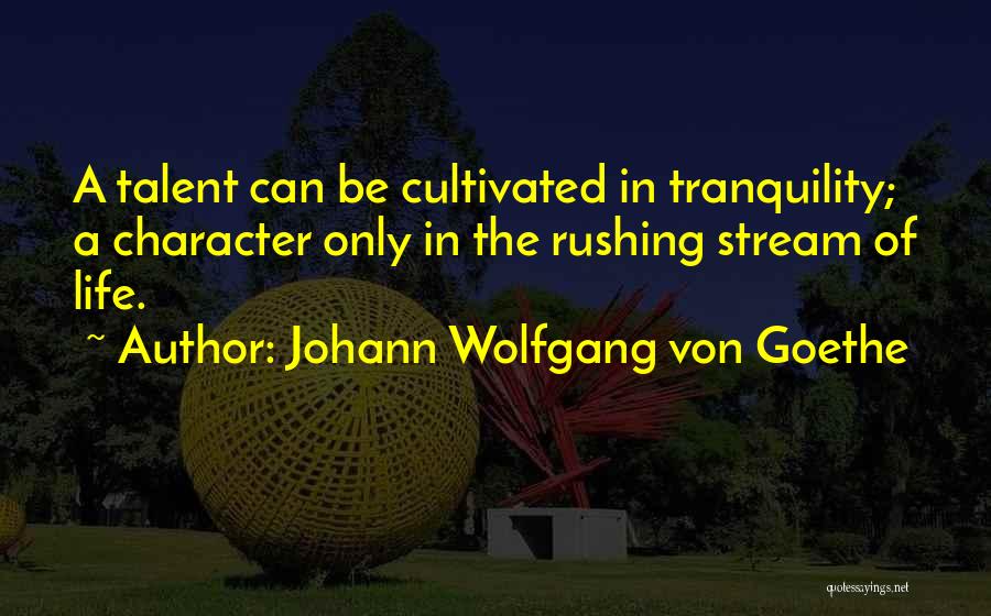 Life Rushing Quotes By Johann Wolfgang Von Goethe