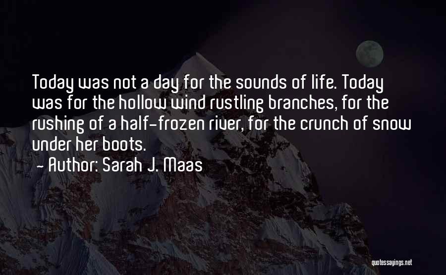 Life Rushing Quotes By Sarah J. Maas