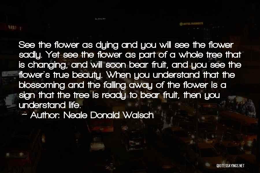 Life S Beauty Quotes By Neale Donald Walsch