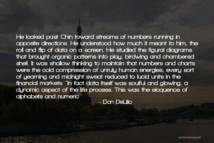Life S Patterns Quotes By Don DeLillo Life S Patterns Quotes By Don DeLillo