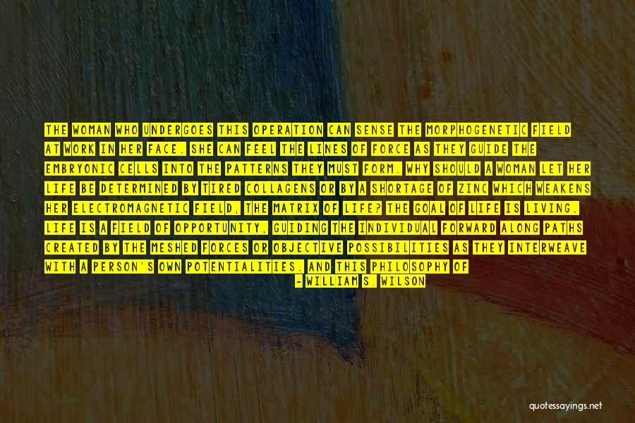 Life S Patterns Quotes By William S. Wilson Life S Patterns Quotes By William S. Wilson