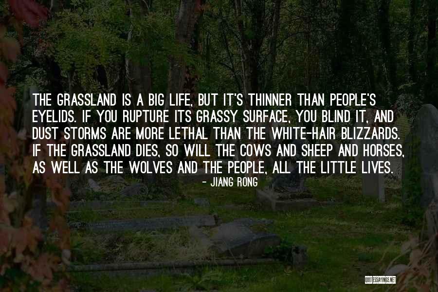 Life S Storms Quotes By Jiang Rong Life S Storms Quotes By Jiang Rong
