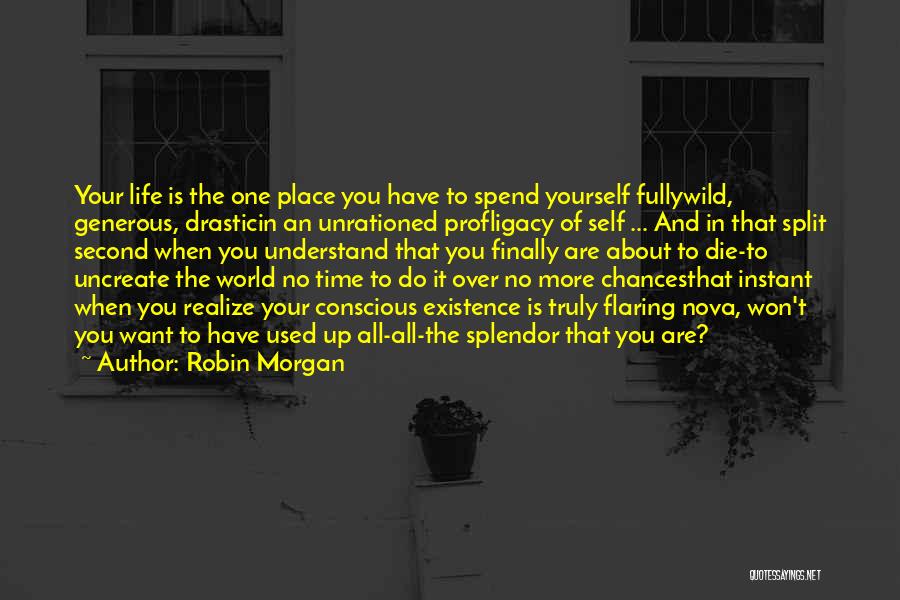Life Second Chances Quotes By Robin Morgan