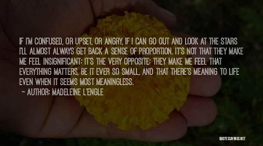 Life Seems Meaningless Quotes By Madeleine L'Engle