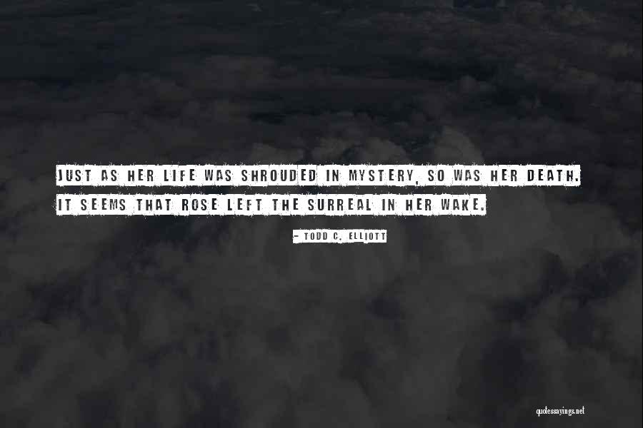 Life Seems Quotes By Todd C. Elliott Life Seems Quotes By Todd C. Elliott