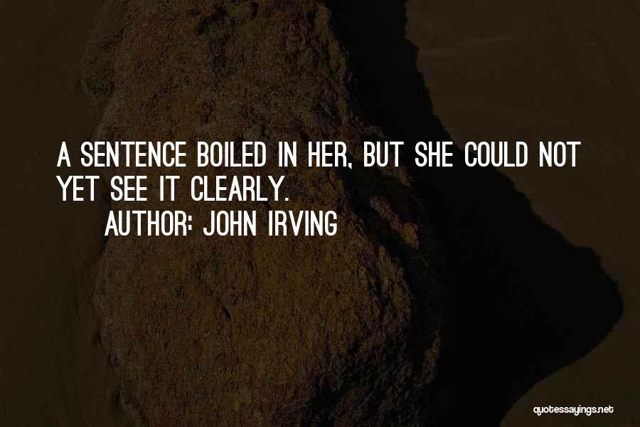 Life Sentences Quotes By John Irving