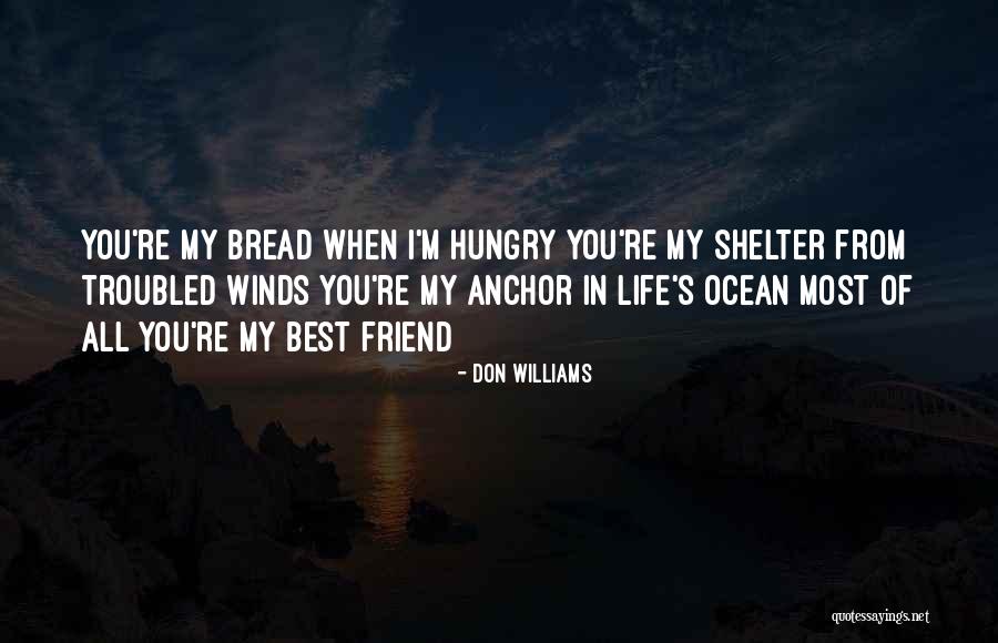 Life Shelter Quotes By Don Williams