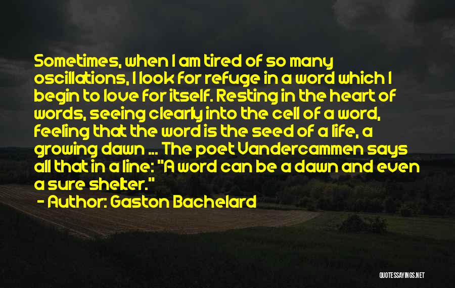 Life Shelter Quotes By Gaston Bachelard