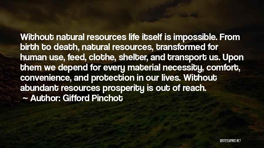 Life Shelter Quotes By Gifford Pinchot