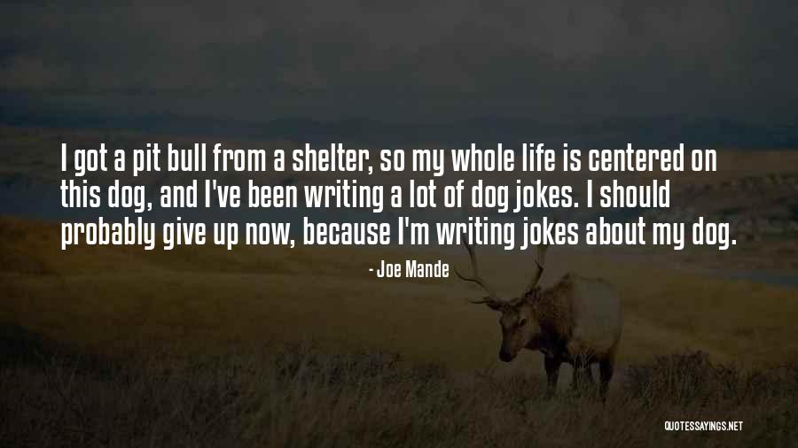 Life Shelter Quotes By Joe Mande Life Shelter Quotes By Joe Mande