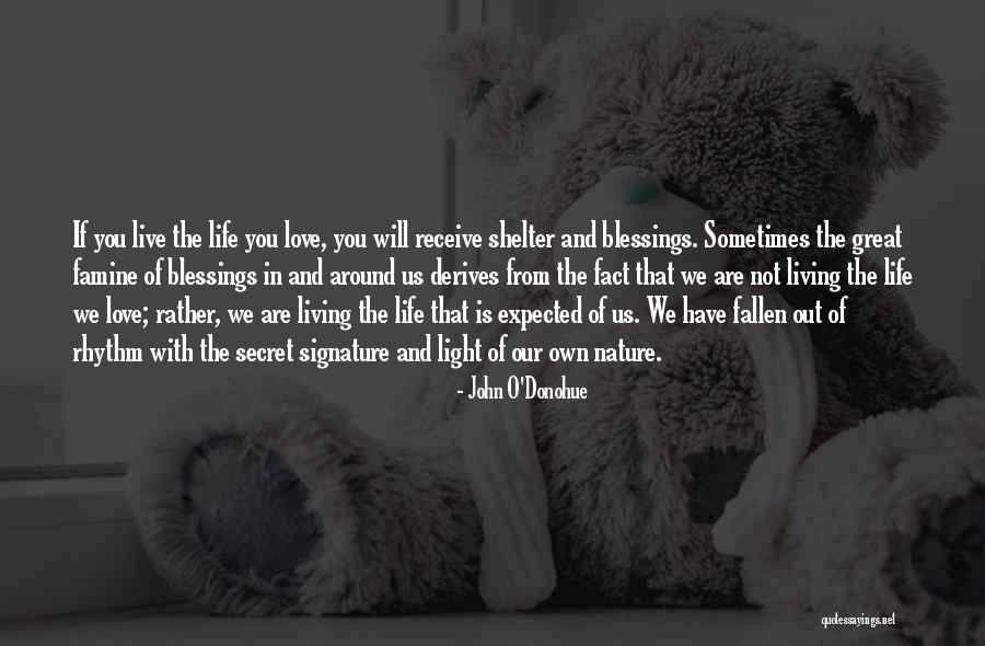 Life Shelter Quotes By John O'Donohue