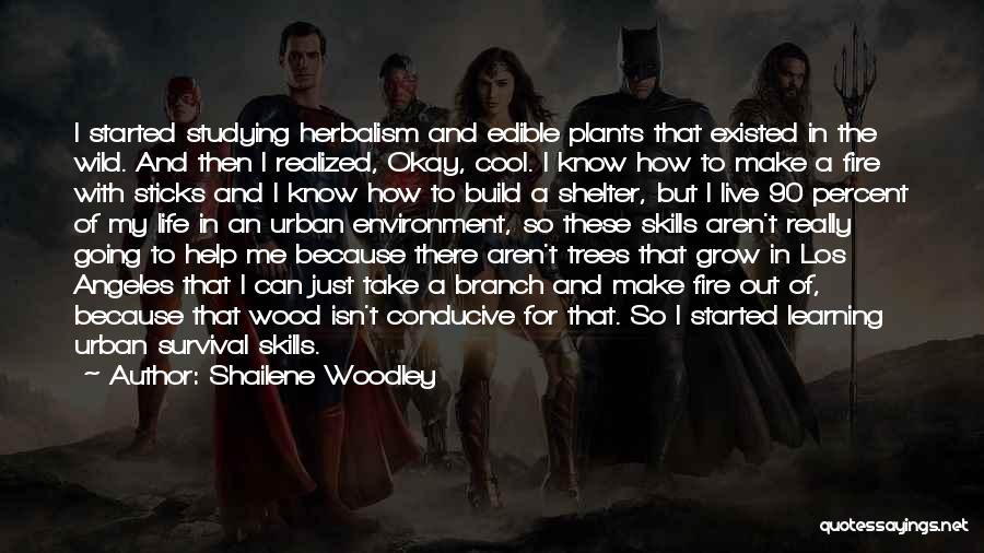 Life Shelter Quotes By Shailene Woodley