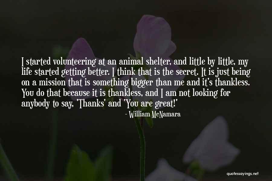 Life Shelter Quotes By William McNamara