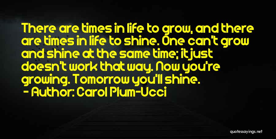 Life Shine Quotes By Carol Plum-Ucci