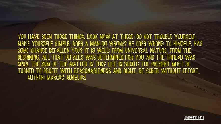 Life Short And Simple Quotes By Marcus Aurelius