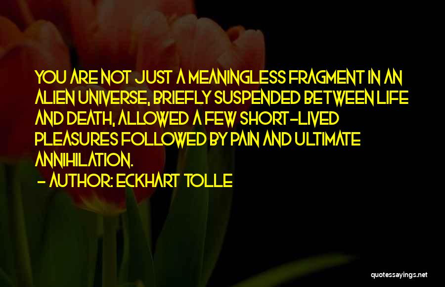 Life Short Lived Quotes By Eckhart Tolle