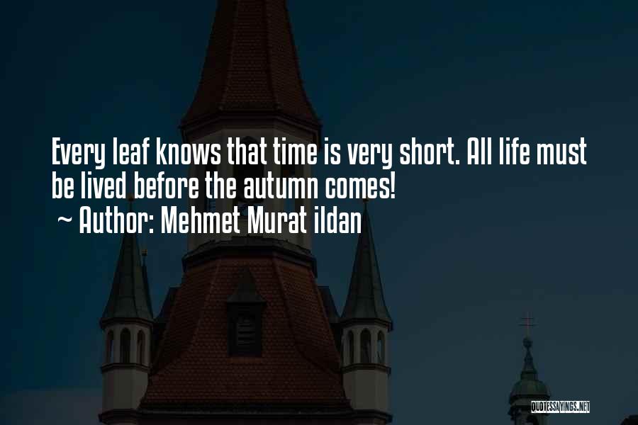 Life Short Lived Quotes By Mehmet Murat Ildan