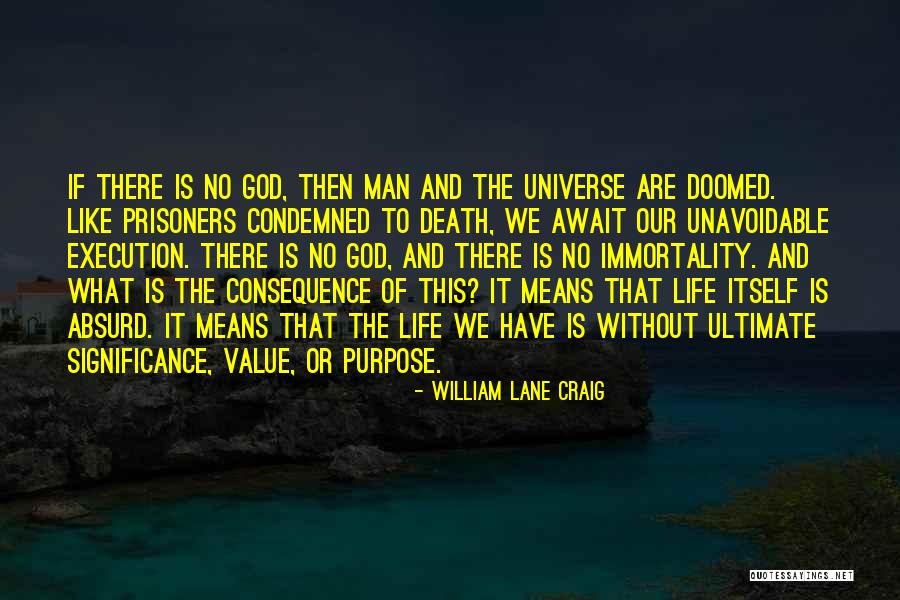 Life Significance Quotes By William Lane Craig