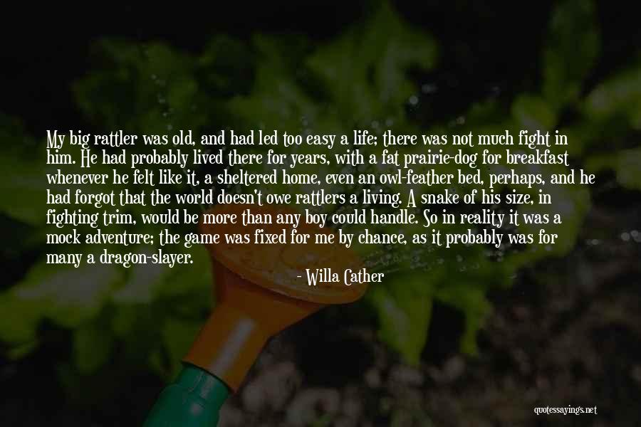 Life Size Quotes By Willa Cather