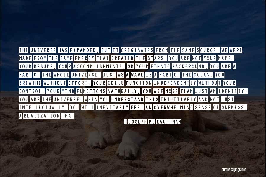 Life Snappy Quotes By Joseph P. Kauffman Life Snappy Quotes By Joseph P. Kauffman