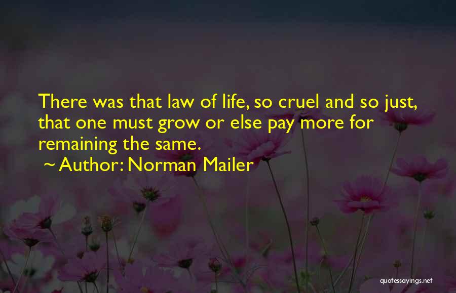 Life So Cruel Quotes By Norman Mailer