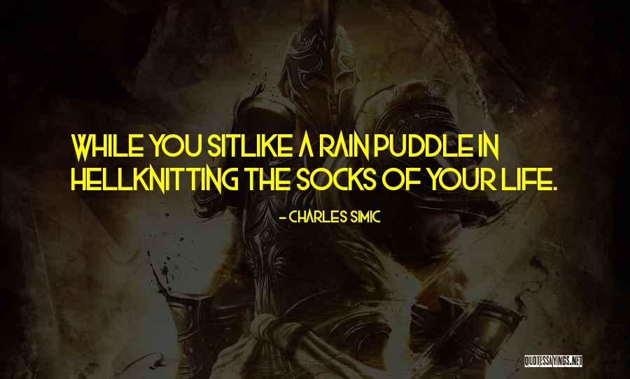 Life Socks Quotes By Charles Simic