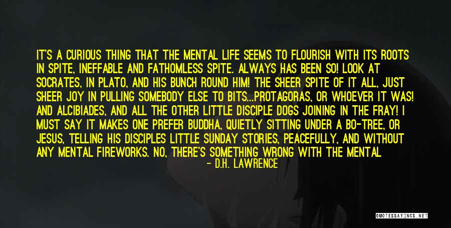 Life Socrates Quotes By D.H. Lawrence Life Socrates Quotes By D.H. Lawrence