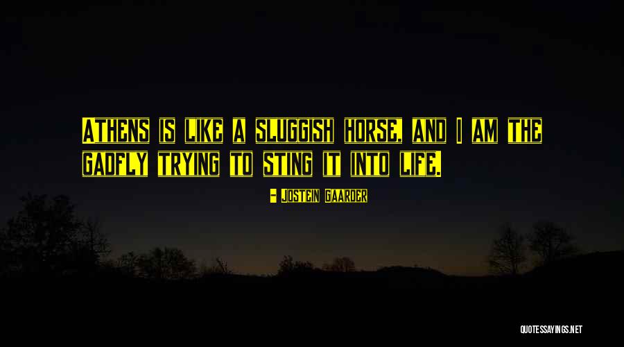 Life Socrates Quotes By Jostein Gaarder Life Socrates Quotes By Jostein Gaarder