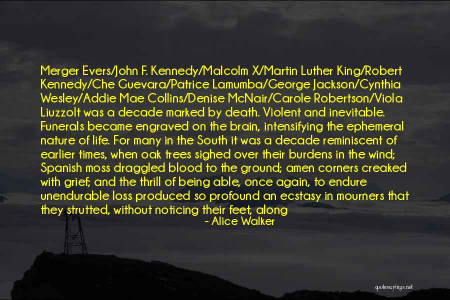 Life Spanish Quotes By Alice Walker