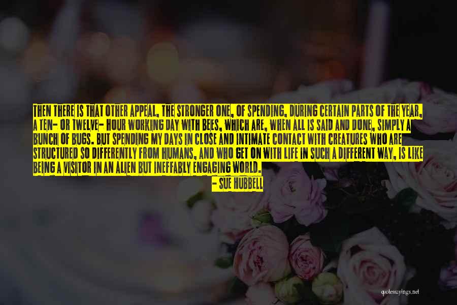 Life Spending Quotes By Sue Hubbell Life Spending Quotes By Sue Hubbell