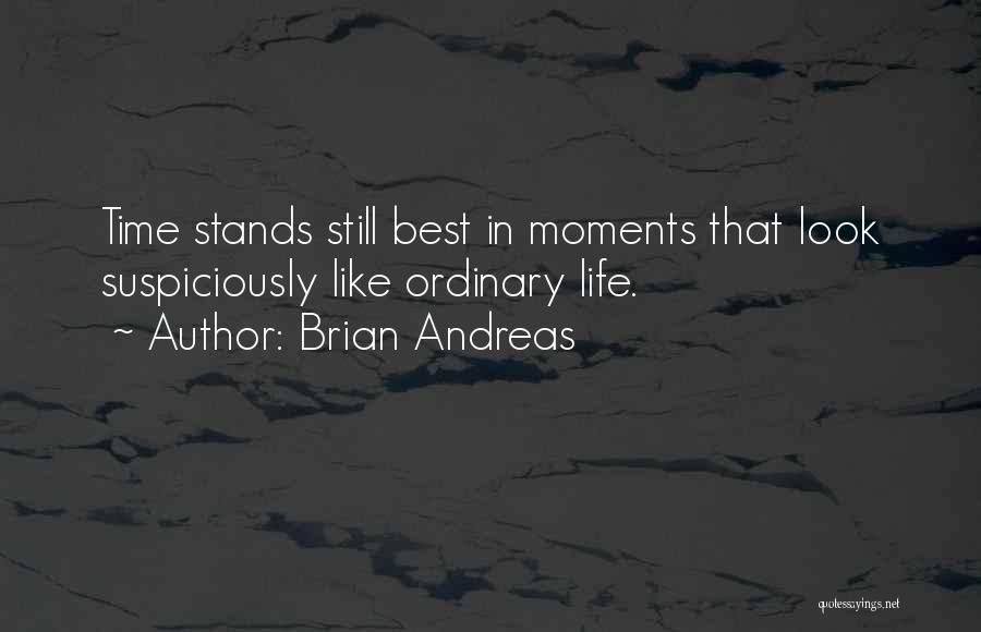 Life Stands Still Quotes By Brian Andreas