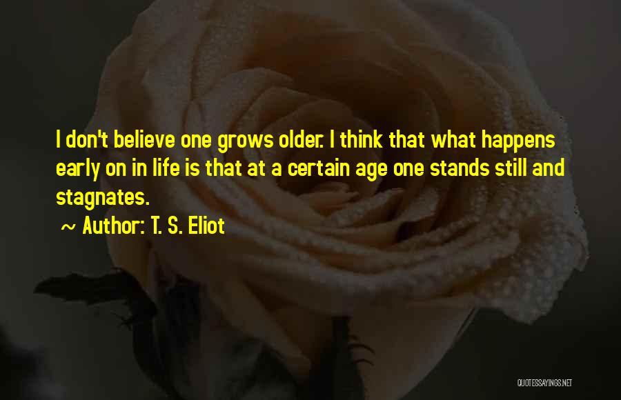 Life Stands Still Quotes By T. S. Eliot