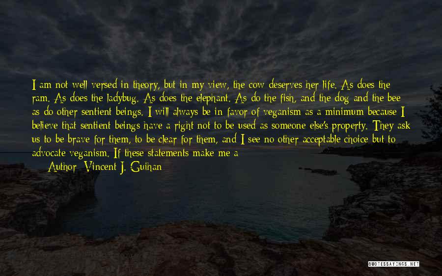 Life Statements Quotes By Vincent J. Guihan