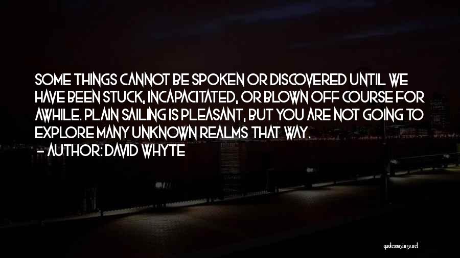 Life Stuck Quotes By David Whyte