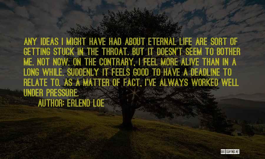 Life Stuck Quotes By Erlend Loe