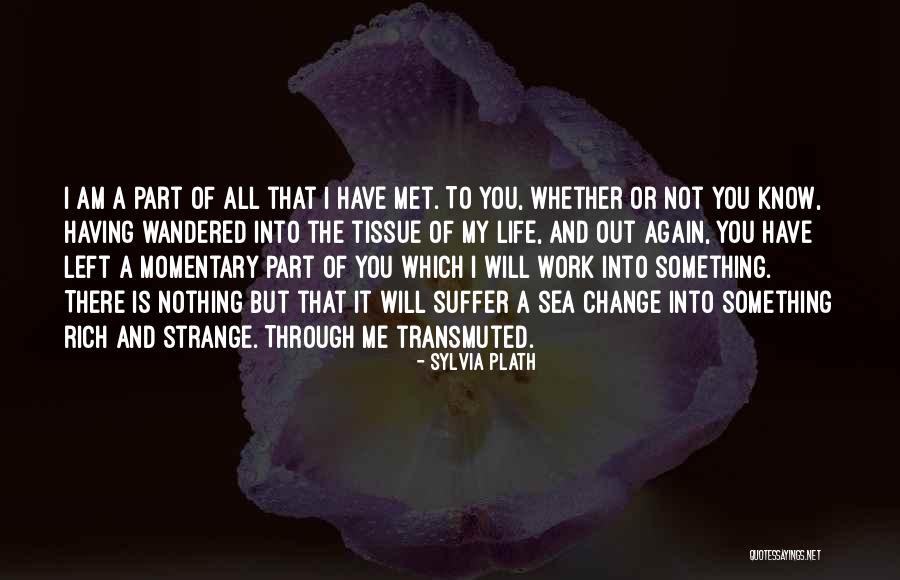 Life Suffer Quotes By Sylvia Plath Life Suffer Quotes By Sylvia Plath