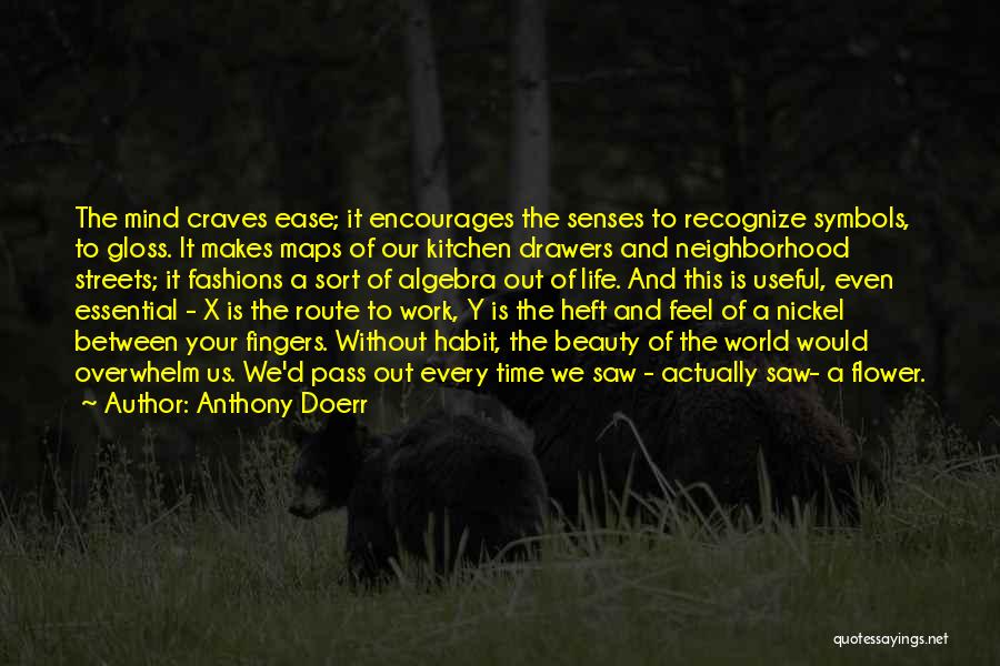 Life Symbols Quotes By Anthony Doerr