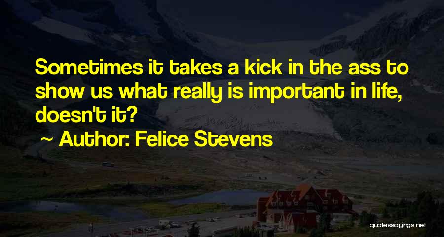 Life Takes Us Quotes By Felice Stevens