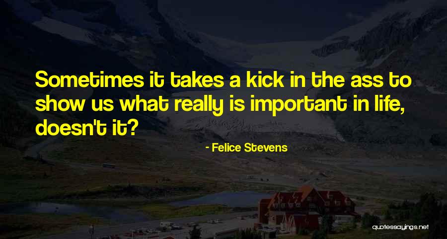 Life Takes Us Quotes By Felice Stevens