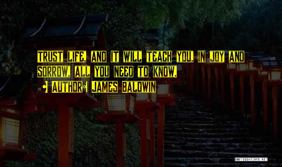 Life Teach You Quotes By James Baldwin