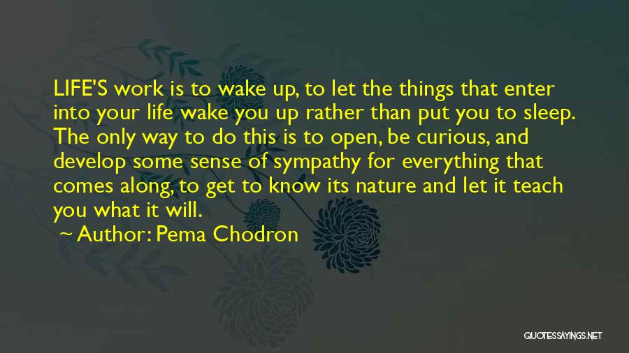 Life Teach You Quotes By Pema Chodron