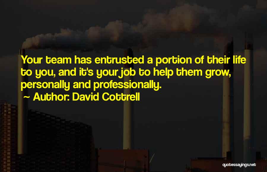 Life Team Quotes By David Cottrell