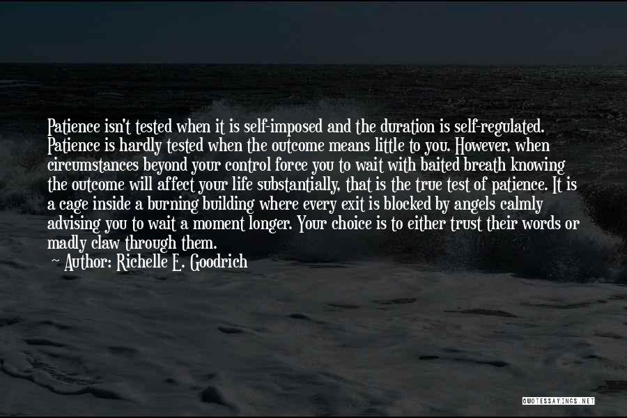 Life Test You Quotes By Richelle E. Goodrich